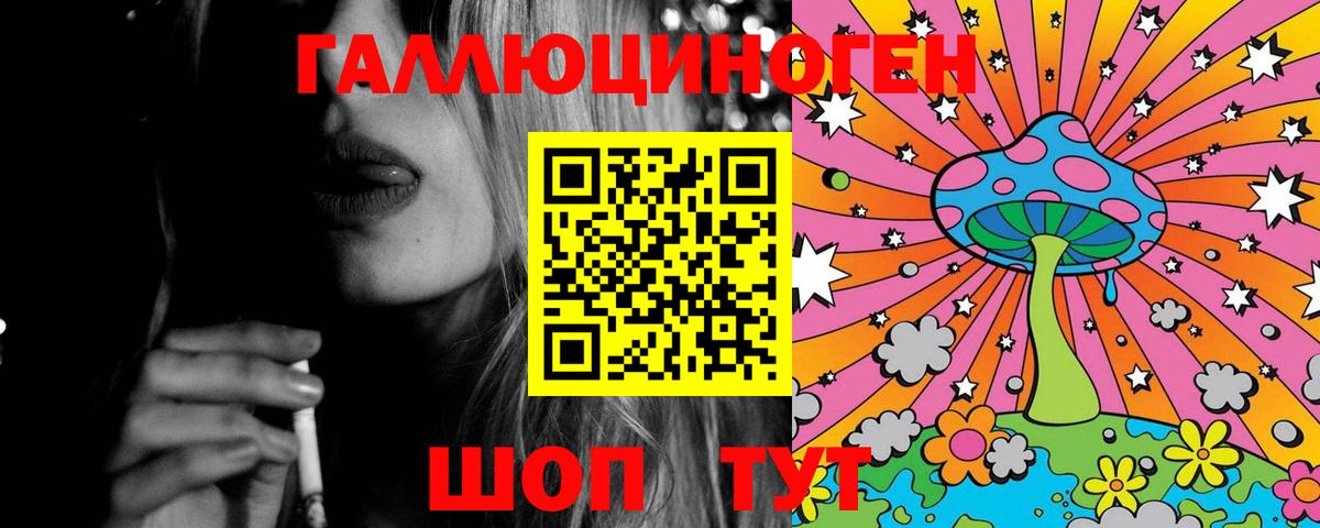 Псилоцибиновые грибы Psilocybe Волоколамск